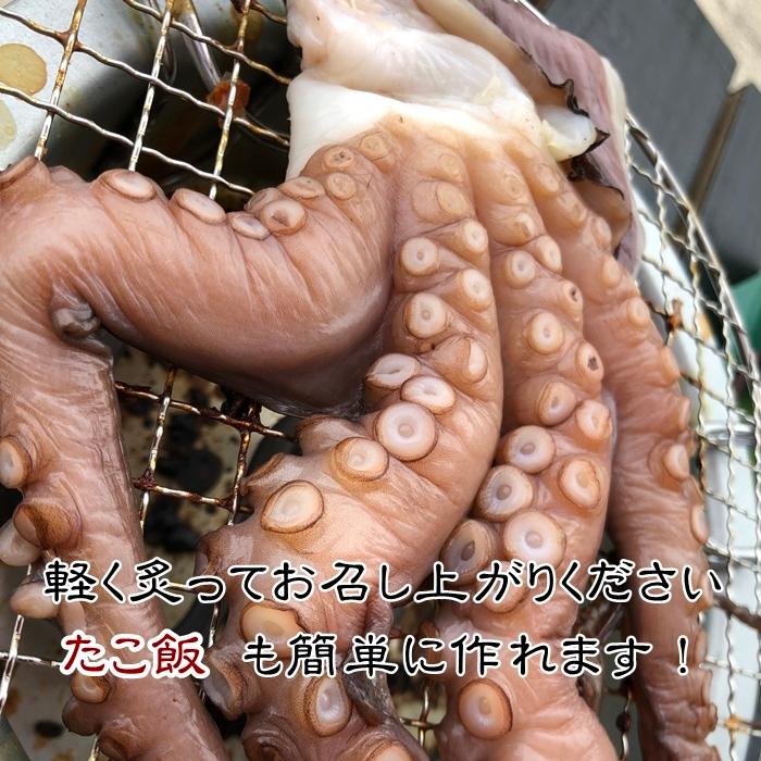 たこ セット 茹でたこ たこ干物 日間賀島 真蛸 Takosetto 岬だより 通販 Yahoo ショッピング