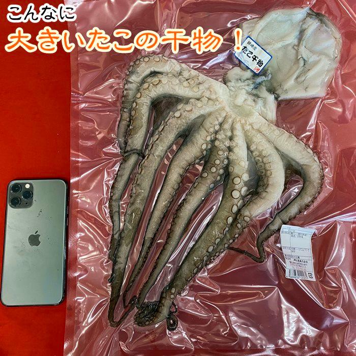 真蛸の干物 特大１杯 たこのひもの 愛知県産 送料無料 Takotokudai 岬だより Yahoo 店 通販 Yahoo ショッピング
