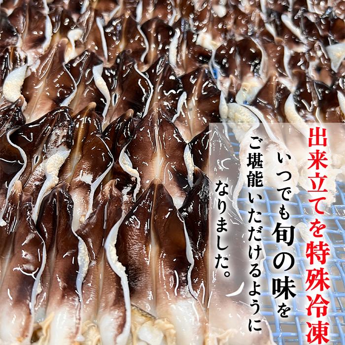 天然 肉厚とり貝 お刺身（冷凍）特大９枚入り&times;２セイロ 愛知県産 送料無料 とり貝 トリ貝 鳥貝