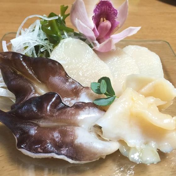 とり貝 平貝 白みる貝のお刺身セット 愛知県産 Torisashi 岬だより Yahoo 店 通販 Yahoo ショッピング