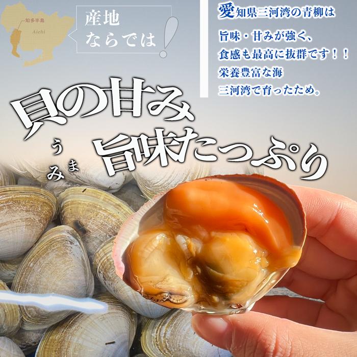 【3月末までの期間限定・特別販売】 青柳 アオヤギ ２０個 送料無料 お刺身 新鮮な剥きたてをお届け！ 姫貝 バカ貝｜fugu｜06