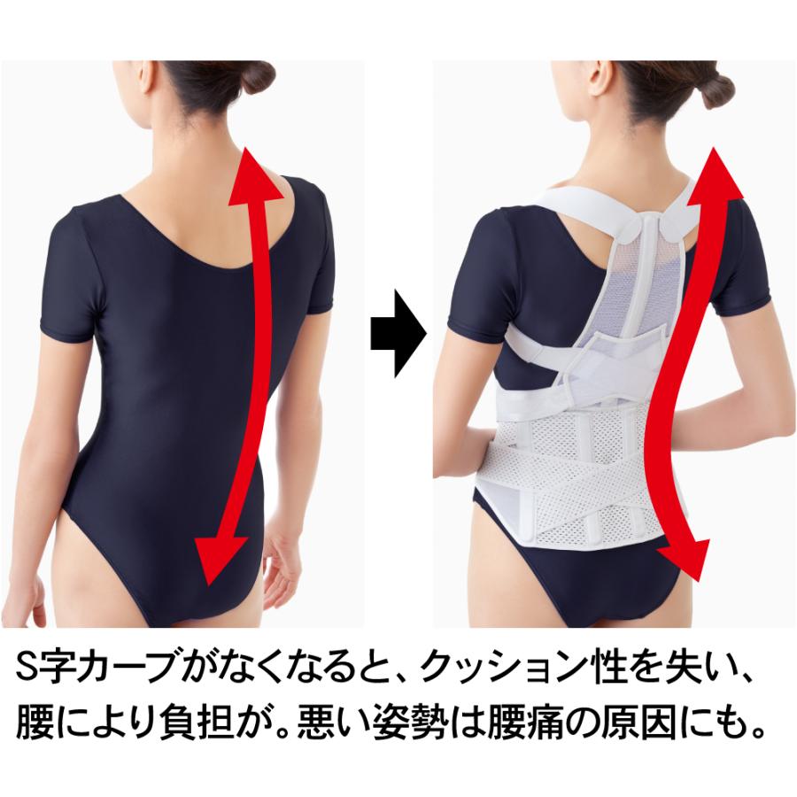 アルファックス お医者さんの腰から正す姿勢ベルト 背筋 背中 姿勢 腰
