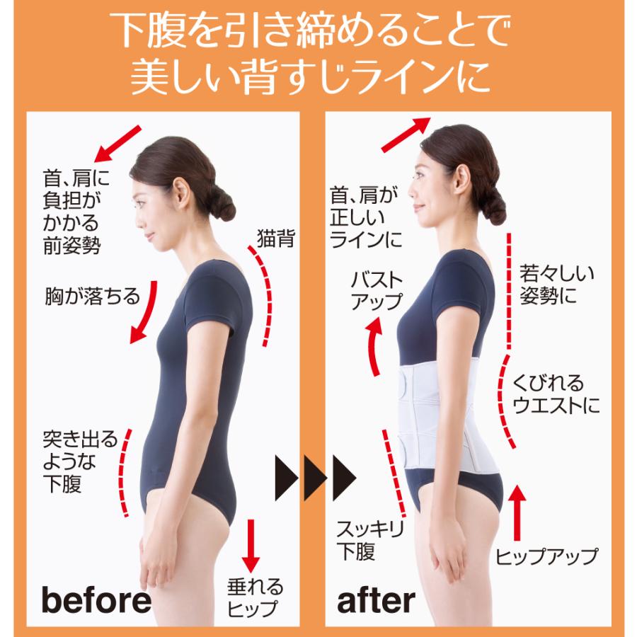 アルファックス お医者さんのがっちり下腹ベルト 腰 サポーター ベルト