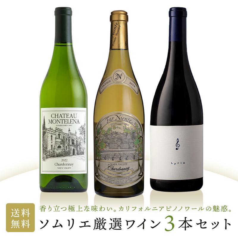 ワインセット 当店ソムリエおすすめセット ソムリエ厳選の3本！芳醇な