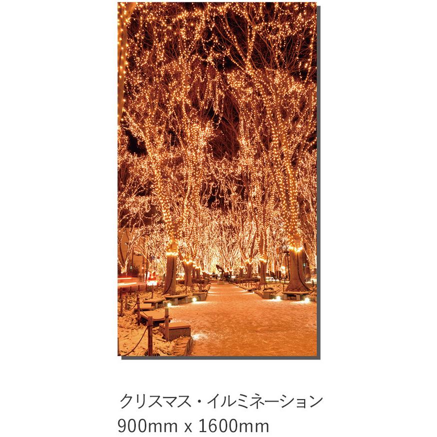 どこでも背景くん 合成紙 クリスマス イルミネーション 900mm 1600mm テレワーク バックスクリーン 背景 F Dh16 010 万屋ふじオンラインストア 通販 Yahoo ショッピング