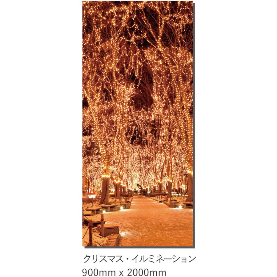 全国組立設置無料 どこでも背景くん 合成紙 クリスマス イルミネーション 900mm 00mm テレワーク バックスクリーン 背景 F Dh 010 万屋ふじオンラインストア 通販 Yahoo ショッピング 半額品 Www Kingfishswimming Com