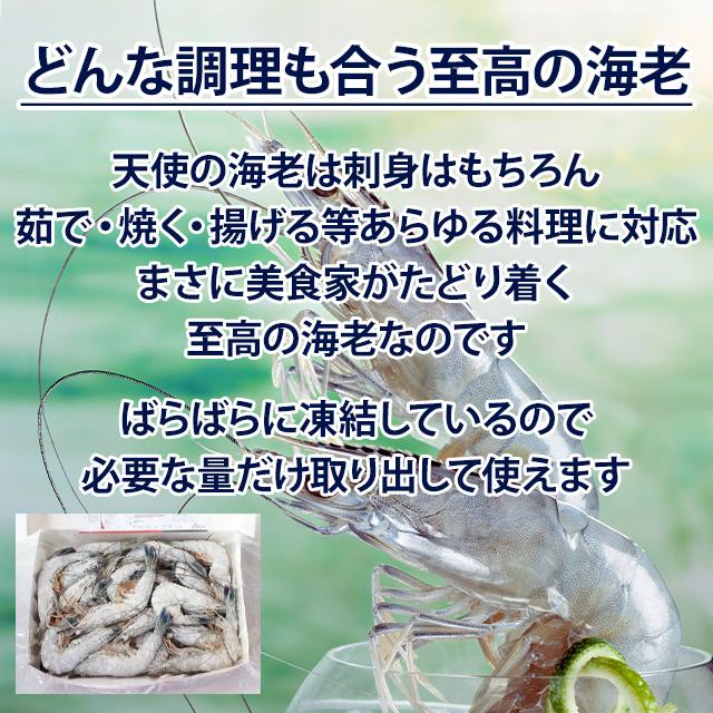 天使の海老 1kg 約20尾から30尾入 お中元 お歳暮 ご贈答 プレゼント