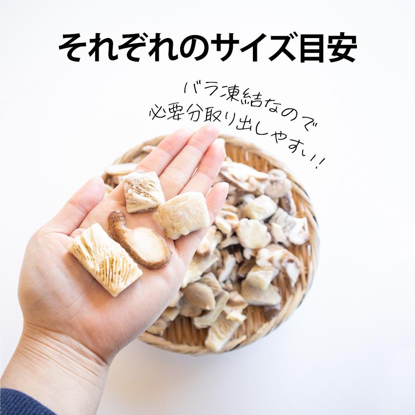 きのこミックス 500g 2袋 1kgセット 冷凍野菜 キノコ ひらたけ