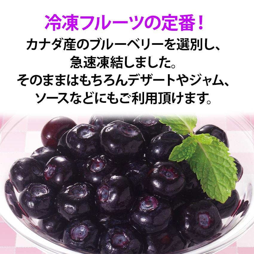 nosui ブルーベリー 1kg 500gが2袋 アメリカ産 カナダ産 冷凍フルーツ