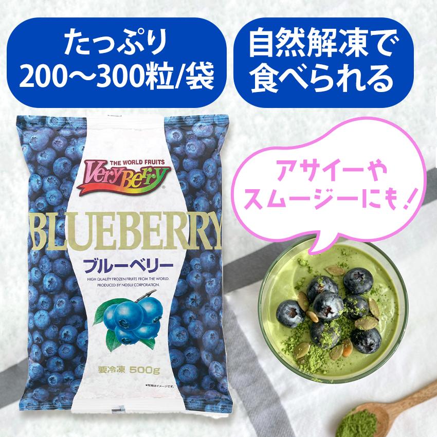 nosui ブルーベリー 1kg 500gが2袋 アメリカ産 カナダ産 冷凍フルーツ