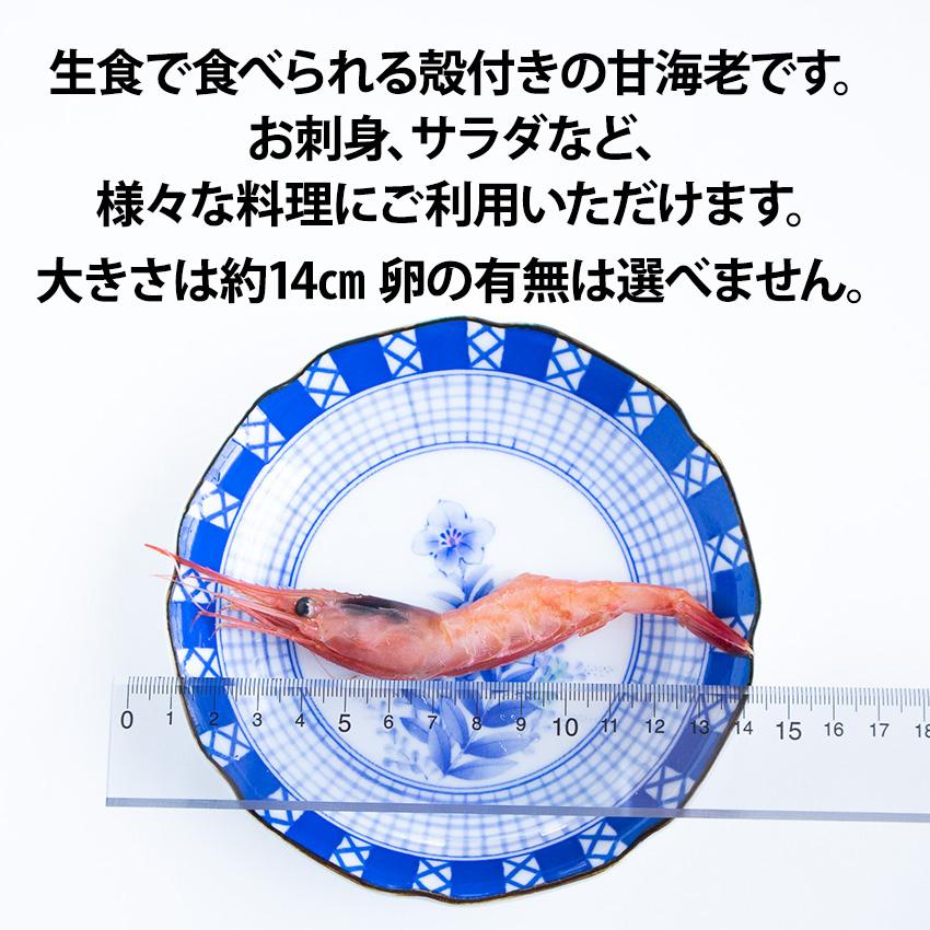 甘エビ LAサイズ 中サイズ 1kg 約55尾から60尾入 海老 えび エビ 甘