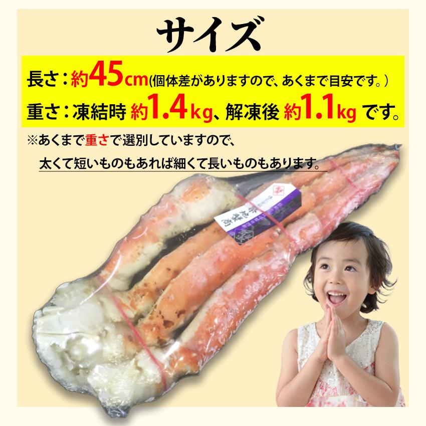 超特大 ボイルタラバガニ 7Lサイズ 1肩 約1.4kg (正味重量約1.1kg) か