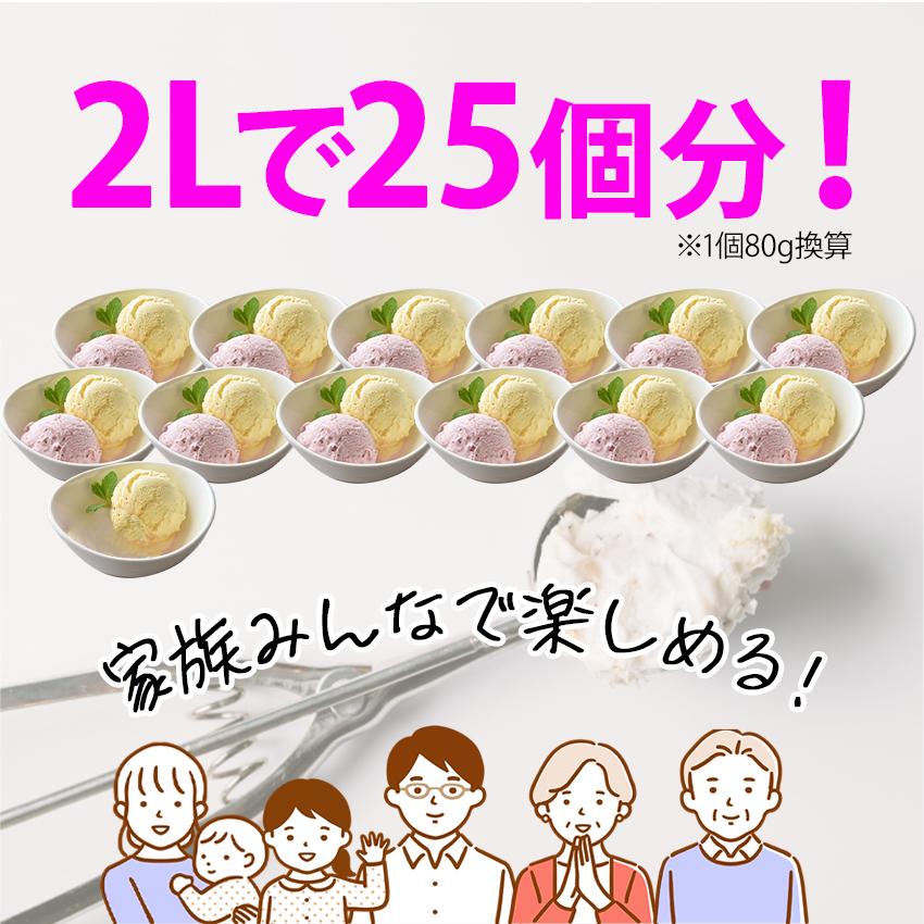 冷凍 業務用 ストロベリーアイス 2L デザート スイーツ イベント 
