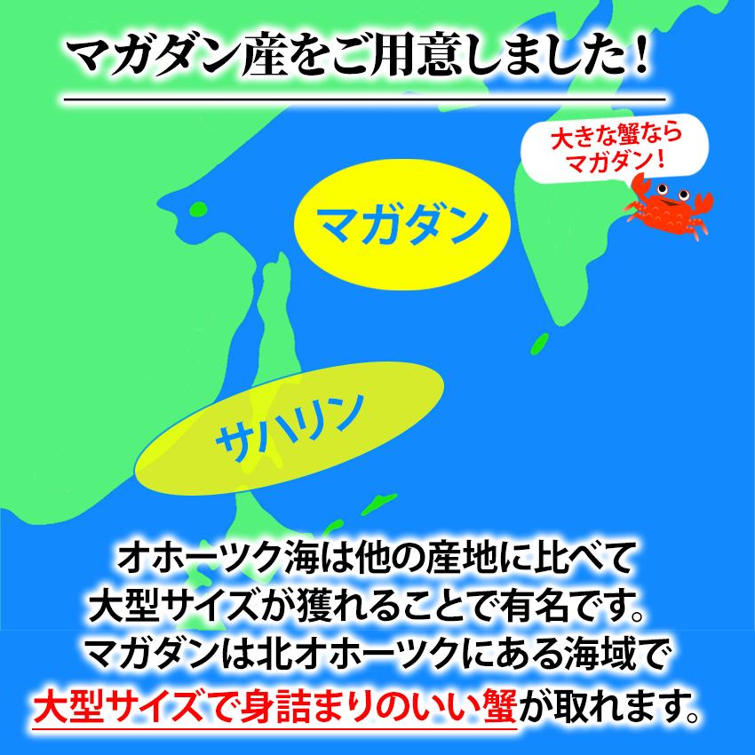 送料無料 冷凍 ボイルズワイガニ 脚 セクション 5kg L 200-250g/肩