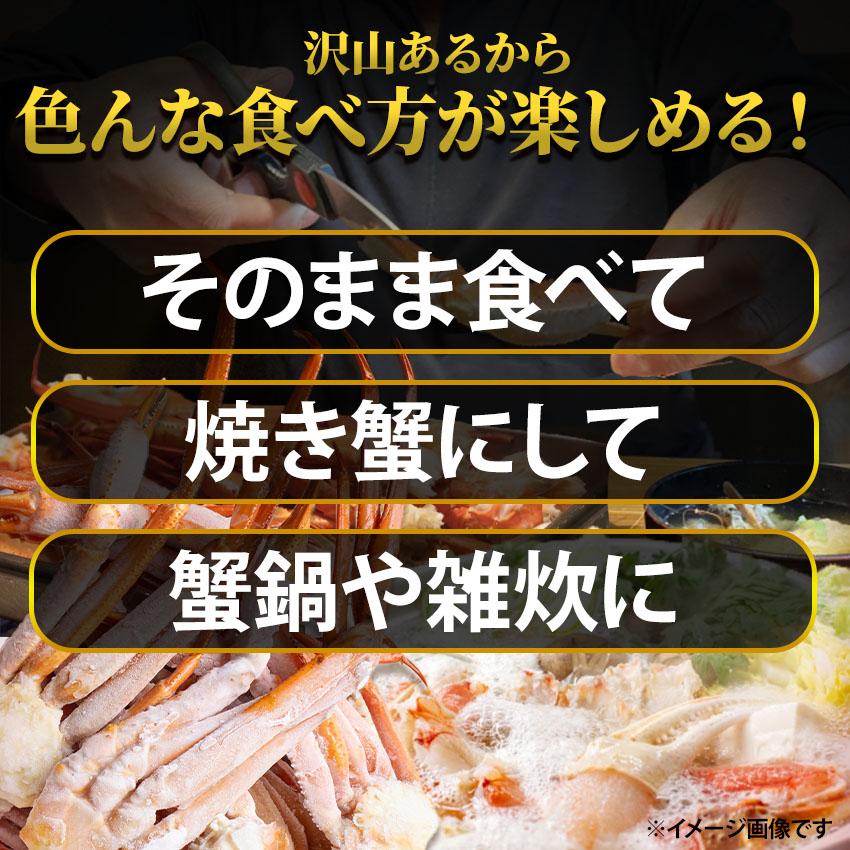 送料無料 訳あり ボイルトゲズワイガニ セクション 5kg 3Lサイズ 送料無料 訳あり ボイルトゲズワイガニ セクション 5kg 3Lサイズ