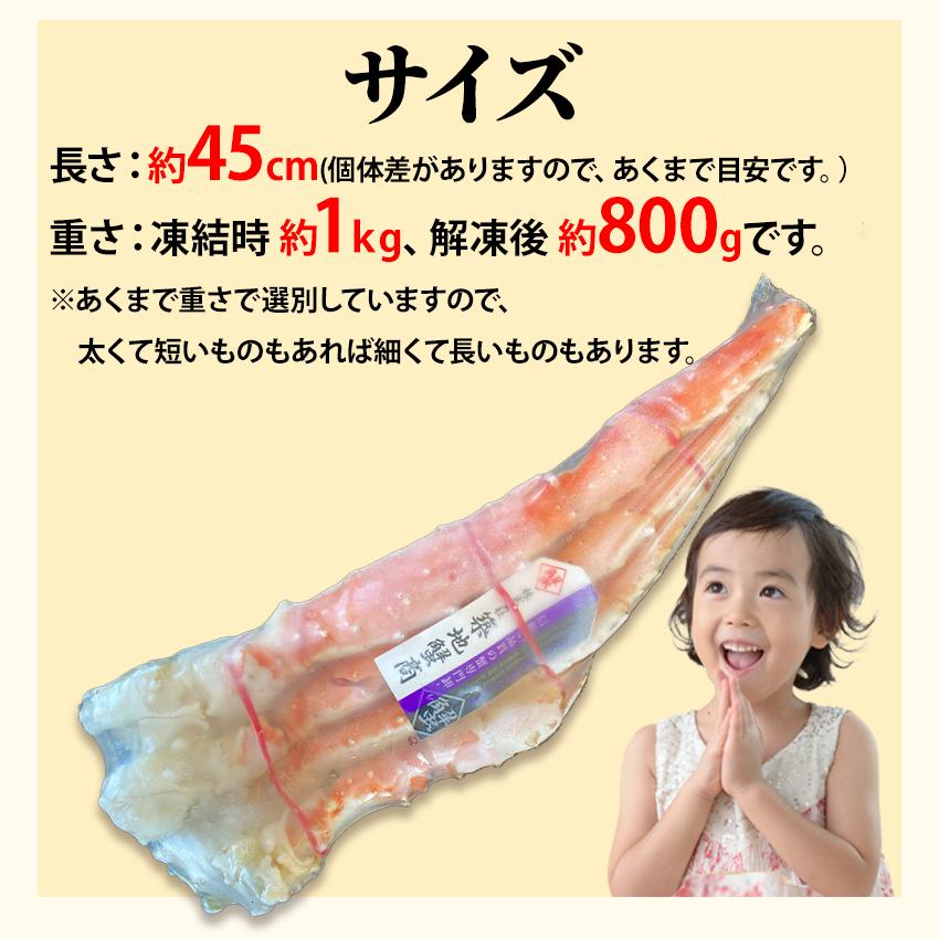 冷凍 ボイルタラバガニ 脚 5Lサイズ 1肩 約1kg (正味重量約800g) かに