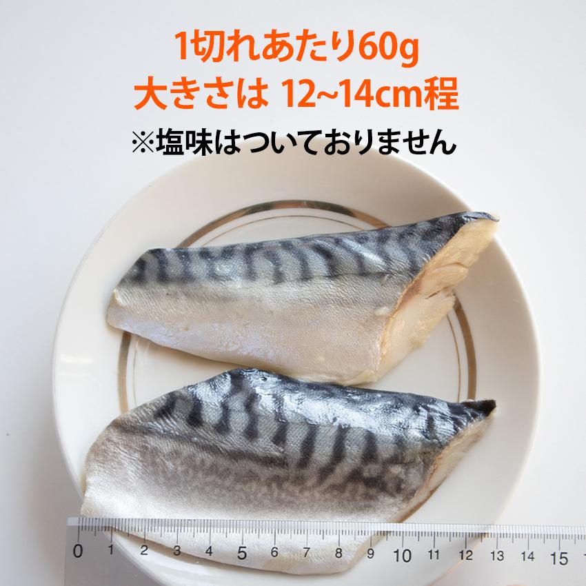 骨無し サバ切身 60g 10枚 鯖 さば 骨なし 冷凍 真空 カット 冷凍魚