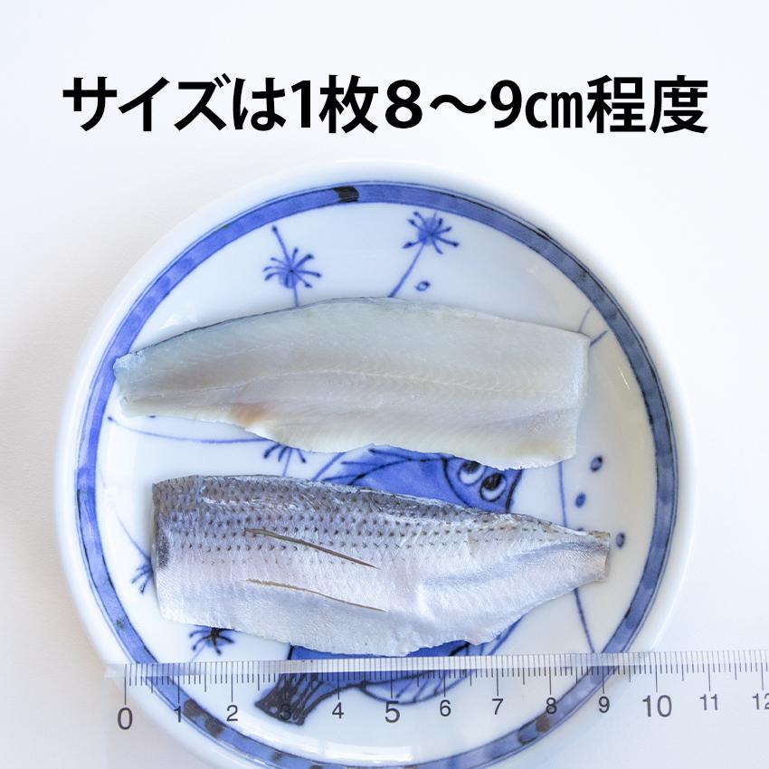 冷凍 〆こはだフィレ 8g 20枚入 カット済み 包丁いらず スライス