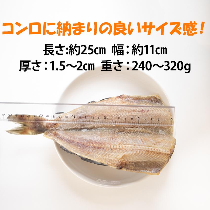 無頭 縞ほっけ開き干し 5枚 冷凍 ホッケ 干物 縞ほっけ 240g〜320g