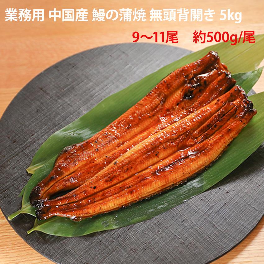 鰻の蒲焼 5kg 無頭 背開き 業務用 約9〜11尾入 1尾約500g (10kg 20尾