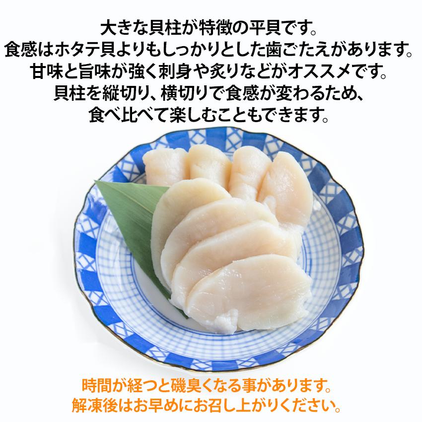 大きな貝、約100歳 約20 × 25 × 20センチ￼ 【公式通販】