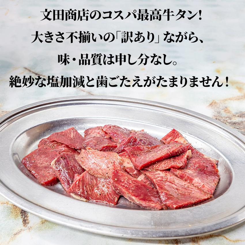 お中元 プレゼント 静岡の名店 文田商店 焼肉3点セット タン200g ホルモン200g カルビ100g 焼肉 静岡グルメ ギフト 希少 数量限定 冷凍 肉 牛タン 7002140064 |  | 02