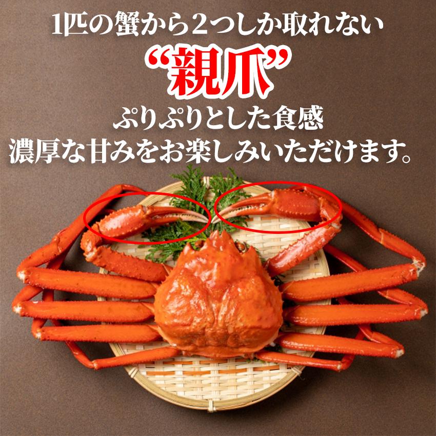 御年賀 プレゼント 冷凍 ボイルズワイガニ爪 1kg 約31から40本入