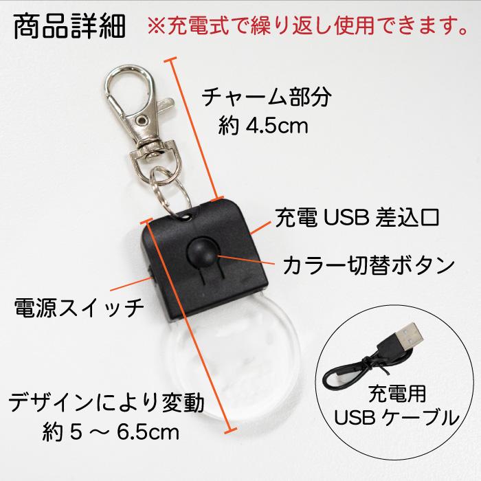 名入れ LEDチャーム LEDキーホルダー 光る お散歩ライト ペットタグ