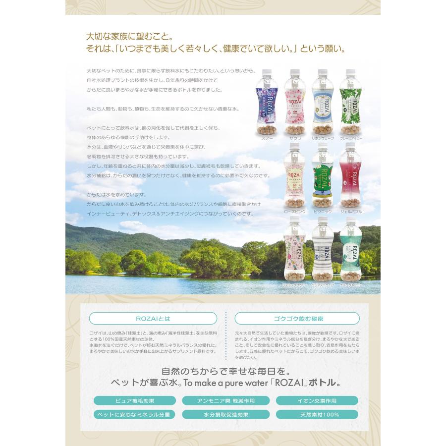 ロザイボトル　ROZAI　BOTTLE |  | 06