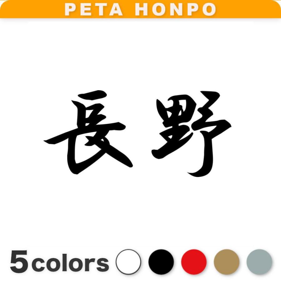 カッティングステッカー 長野 サイズ選択可 都道府県 日本 漢字 国