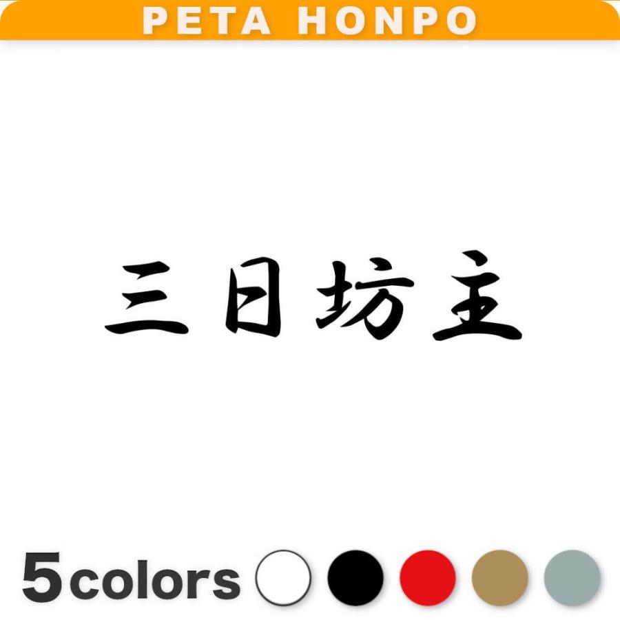 カッティングステッカー 三日坊主 サイズ選択可 車 おもしろ 四字熟語