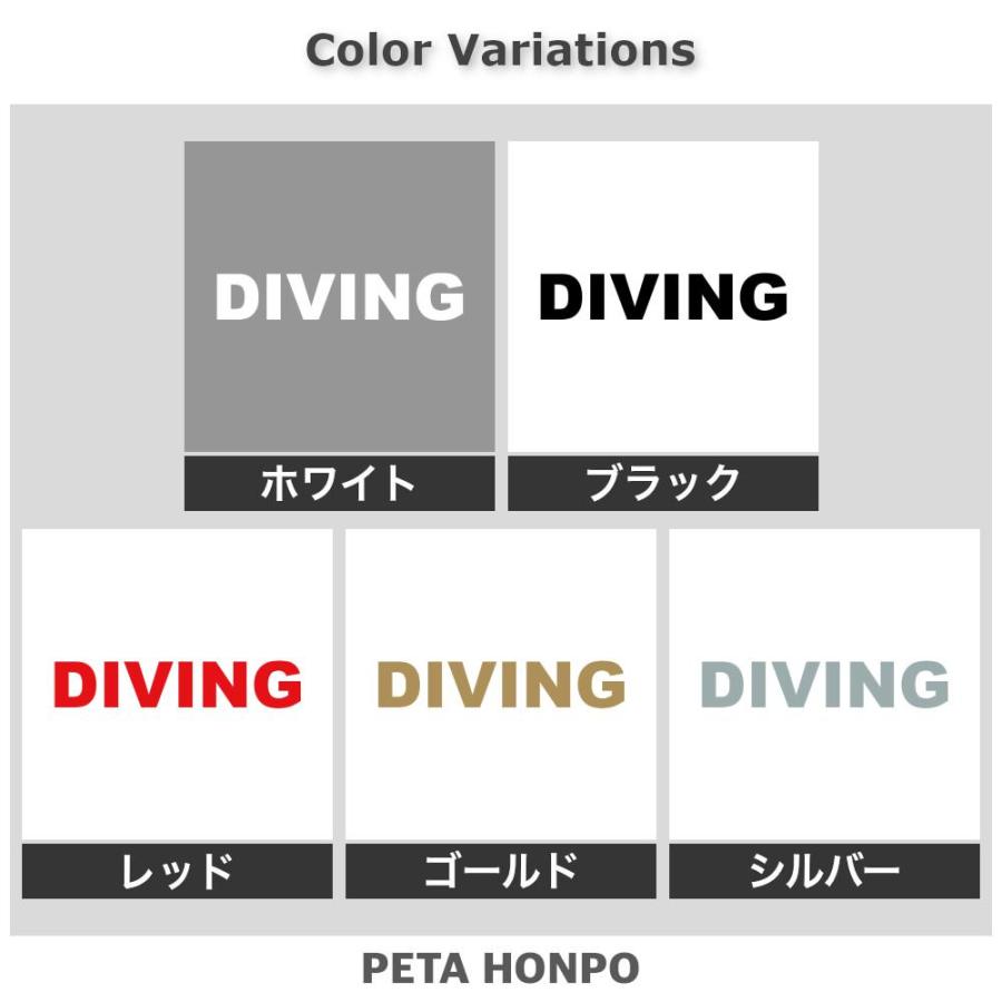 カッティングステッカー DIVING サイズ選択可 ダイビング 潜水 海
