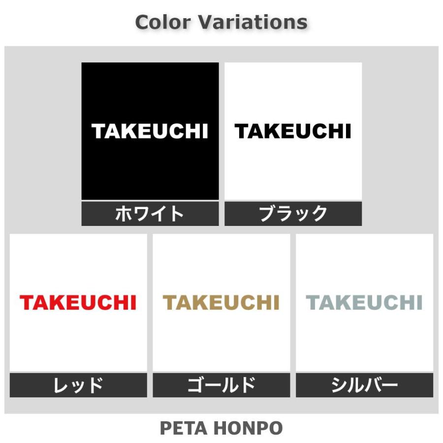 カッティングステッカー TAKEUCHI サイズ選択可 竹内 たけうち 苗字