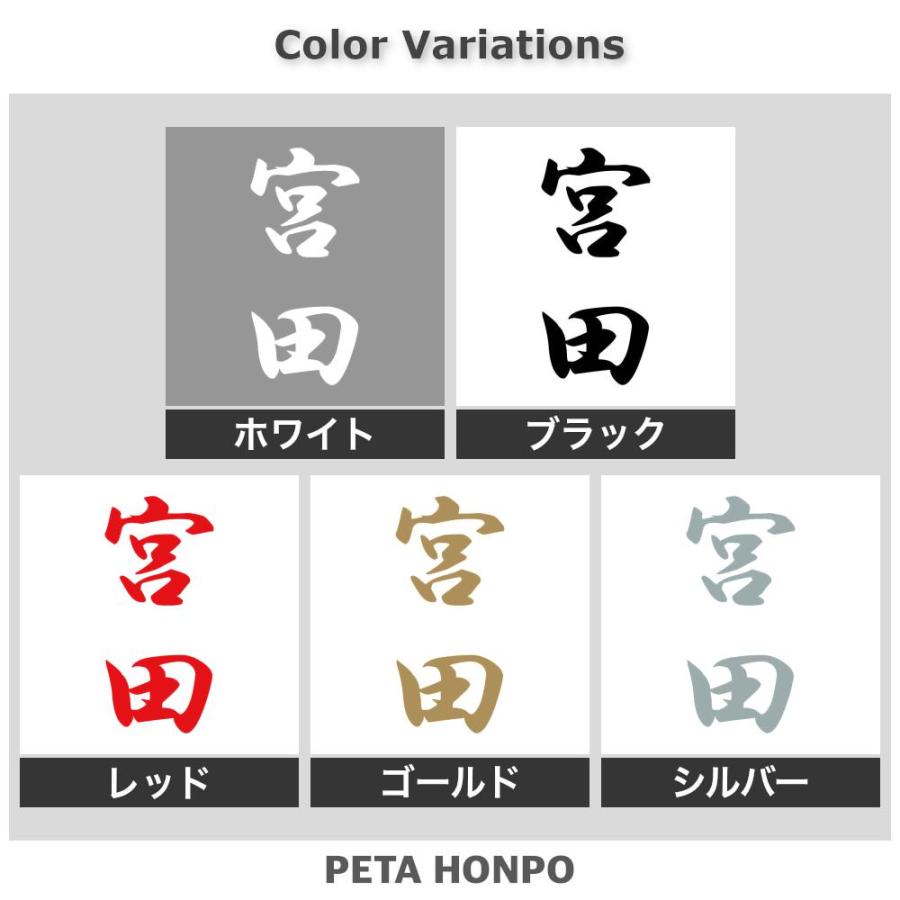 カッティングステッカー 宮田 縦書き (A) サイズ選択可 苗字 名字 姓