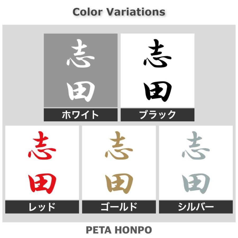 カッティングステッカー 志田 縦書き (A) サイズ選択可 苗字 名字 姓
