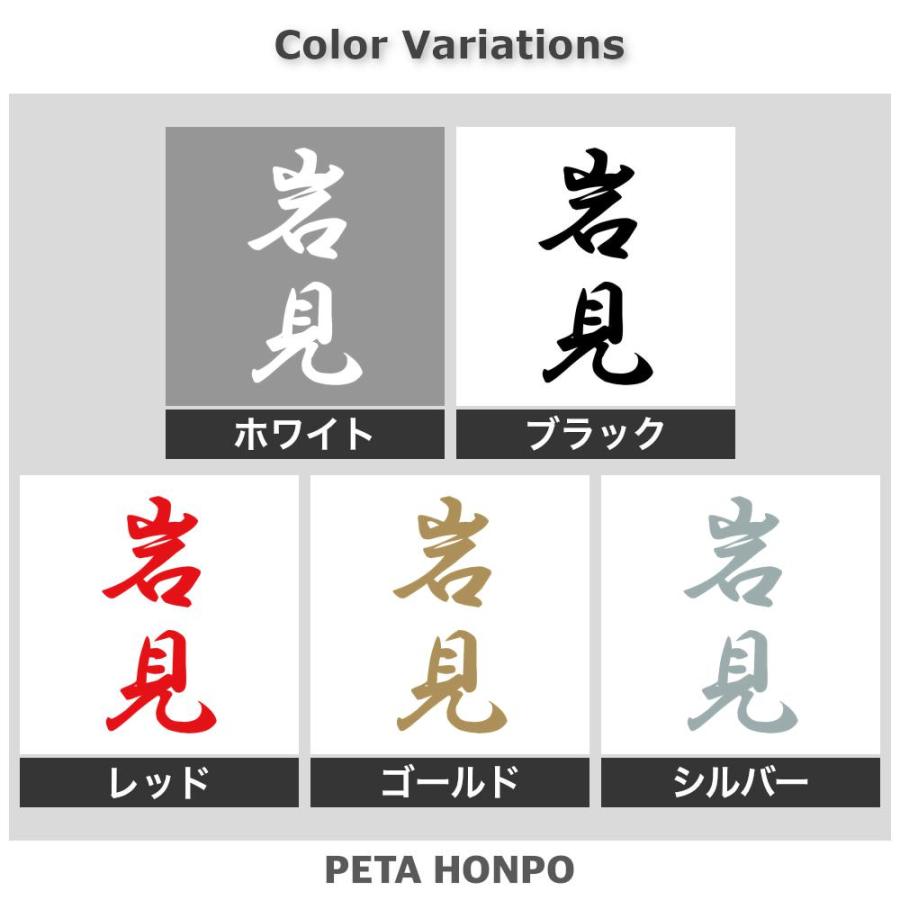 カッティングステッカー 岩見 縦書き (A) サイズ選択可 苗字 名字 姓