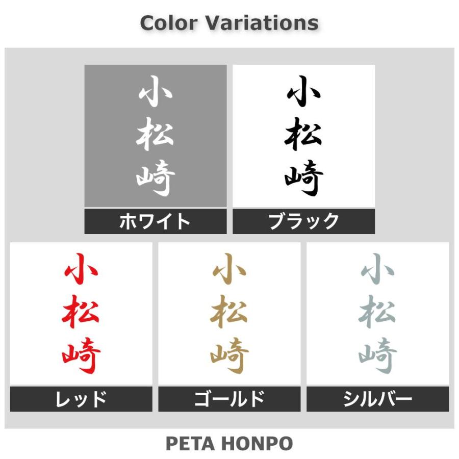 カッティングステッカー 小松崎 縦書き (A) サイズ選択可 苗字 名字 姓