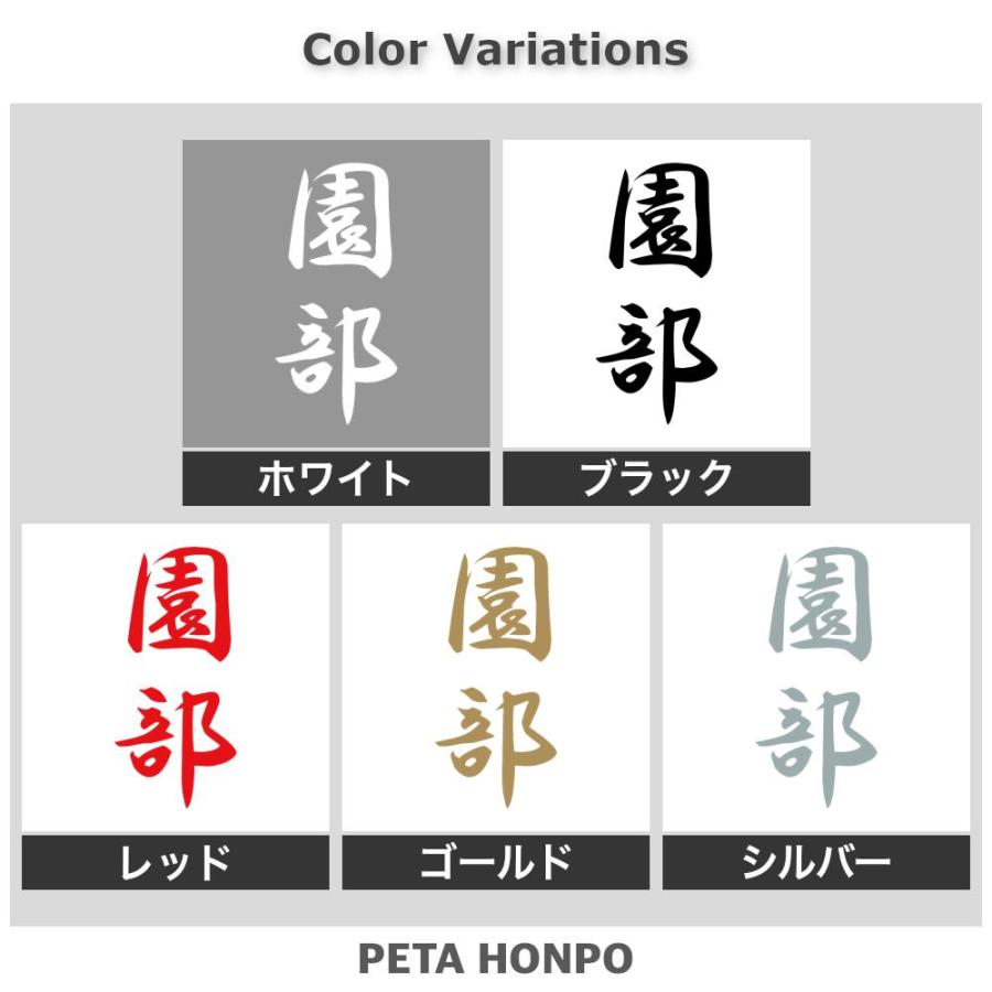 カッティングステッカー 園部 縦書き (A) サイズ選択可 苗字 名字 姓