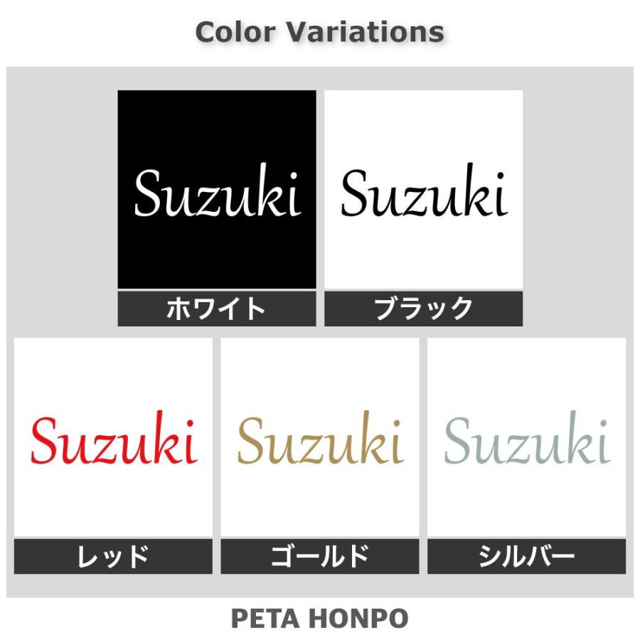 鈴木 確認用写真 シール ステッカー カッティングステッカー Suzuki サイズ選択可 鈴木 すずき 苗字 名字