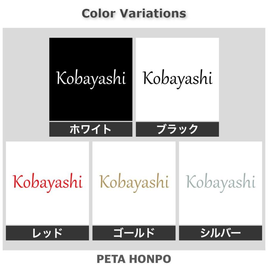 カッティングステッカー Kobayashi サイズ選択可 小林 こばやし 苗字