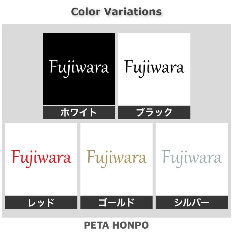 カッティングステッカー Fujiwara サイズ選択可 藤原 ふじわら 苗字