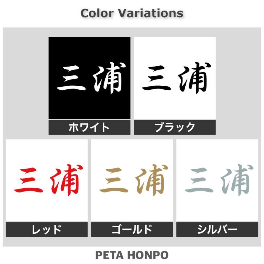 カッティングステッカー 三浦 サイズ選択可 苗字 名字 姓 名前 : FUJI