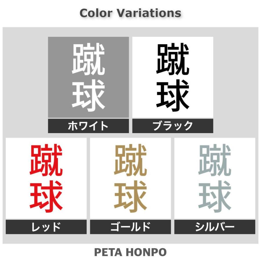 カッティングステッカー 蹴球 縦 サイズ選択可 サッカー 球技 スポーツ