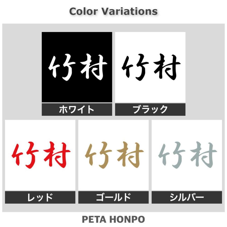 カッティングステッカー 竹村 サイズ選択可 苗字 名字 姓 名前 : FUJI