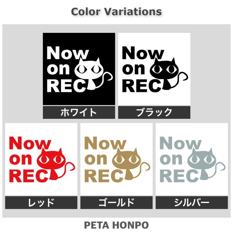 カッティングステッカー Now on REC猫(A) サイズ選択可 ドラレコ 録画