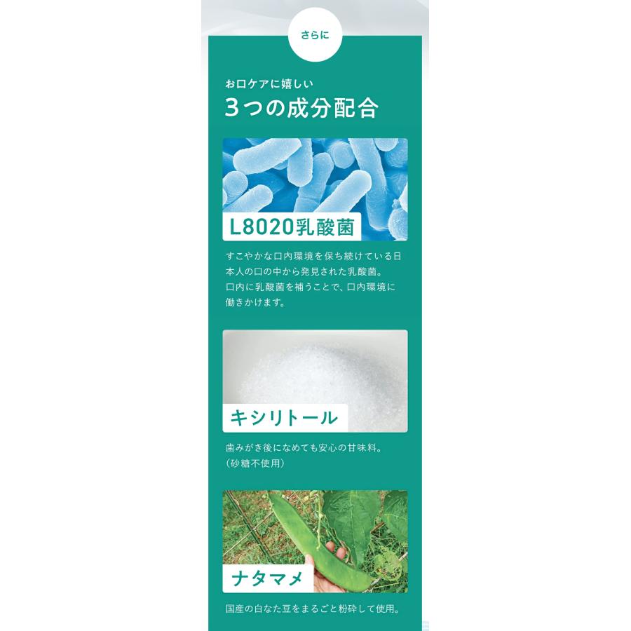 フジッコ 【公式】フジッコ デンタフローラ 3袋セット（1袋31粒入り