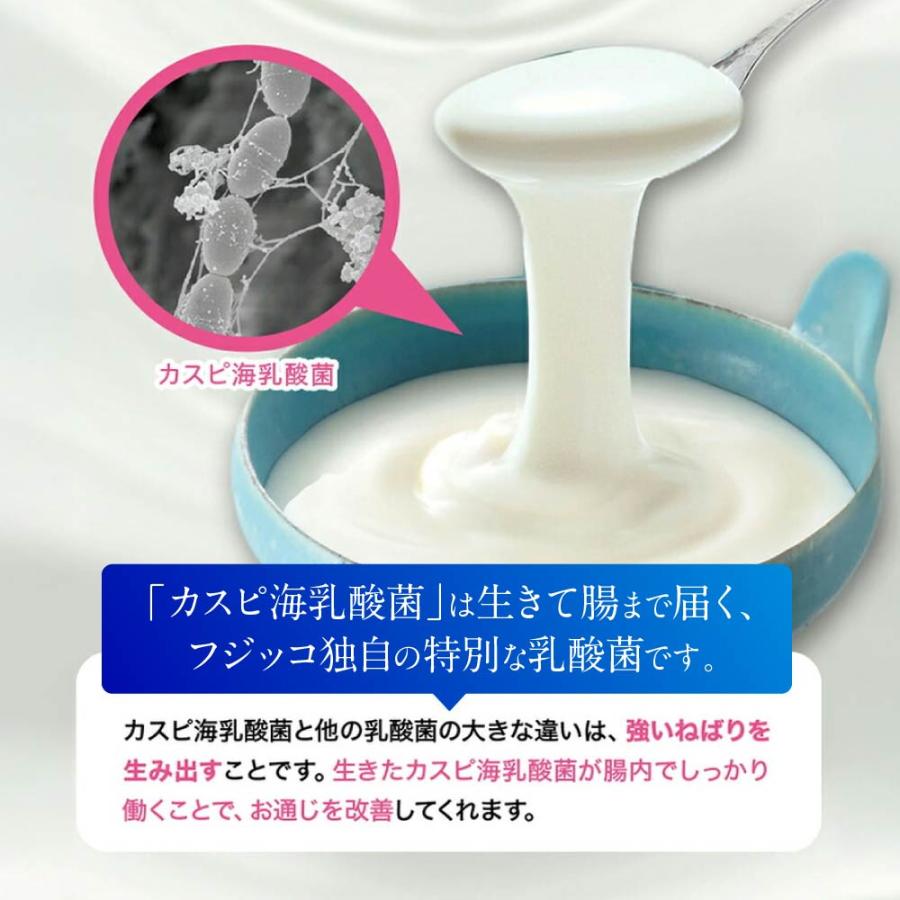 公式】フジッコ 善玉菌のチカラ 3袋セット（1袋31粒入り/約1ヶ月分