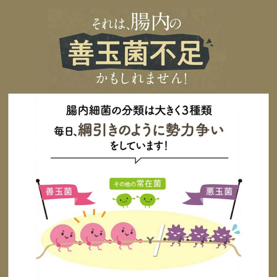 公式】フジッコ 善玉菌のチカラ 3袋セット（1袋31粒入り/約1ヶ月分