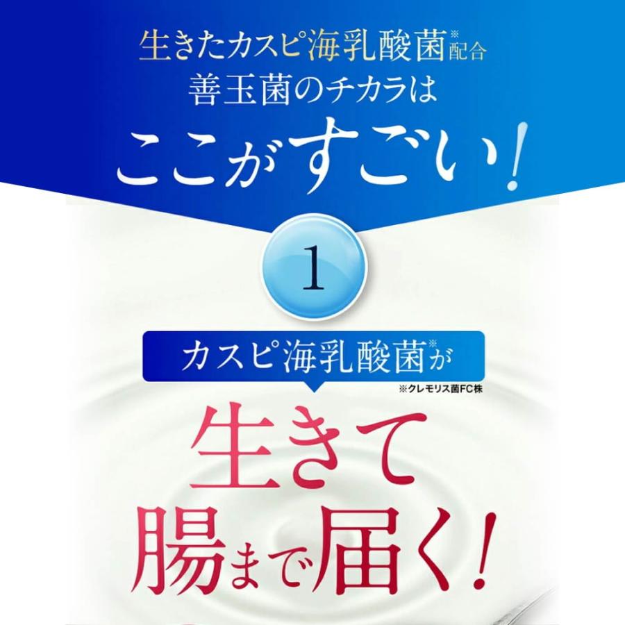 公式】フジッコ 善玉菌のチカラ 3袋セット（1袋31粒入り/約1ヶ月分