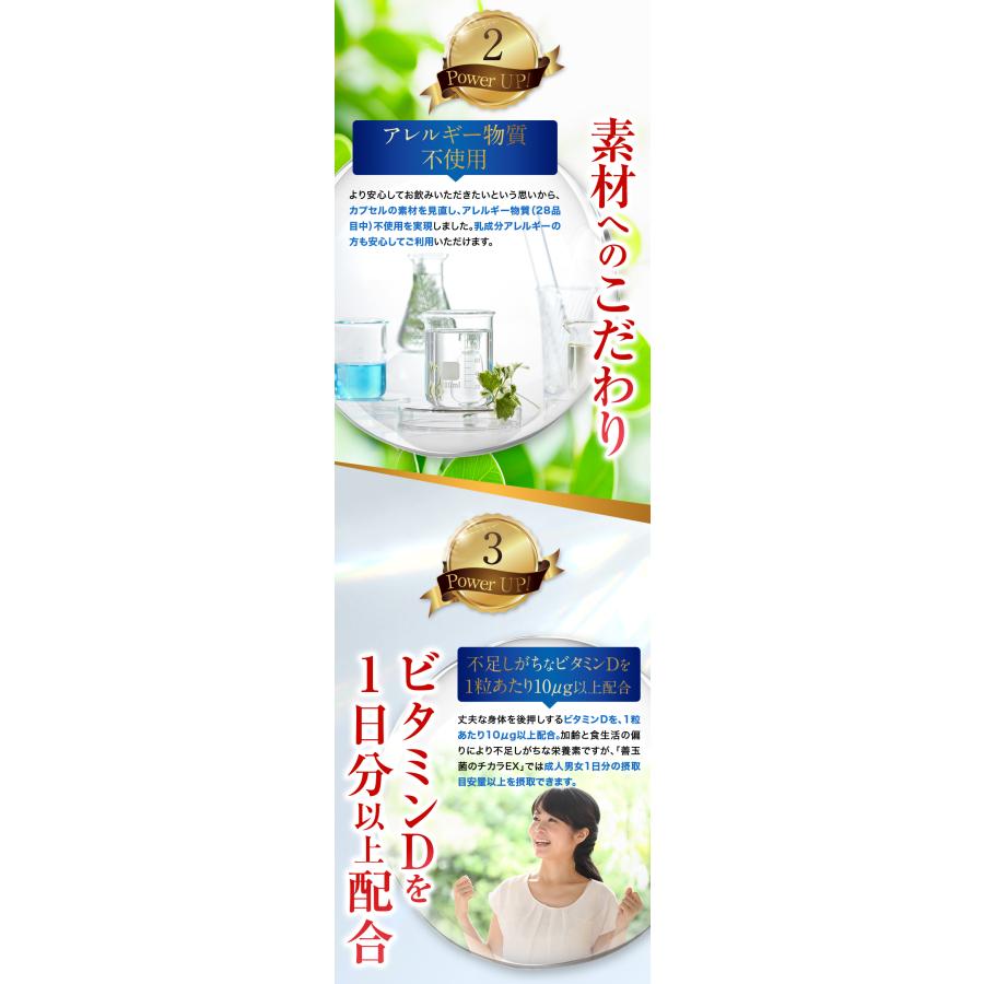 公式】フジッコ 善玉菌のチカラEX 3袋セット（1袋31粒入り）便秘対策